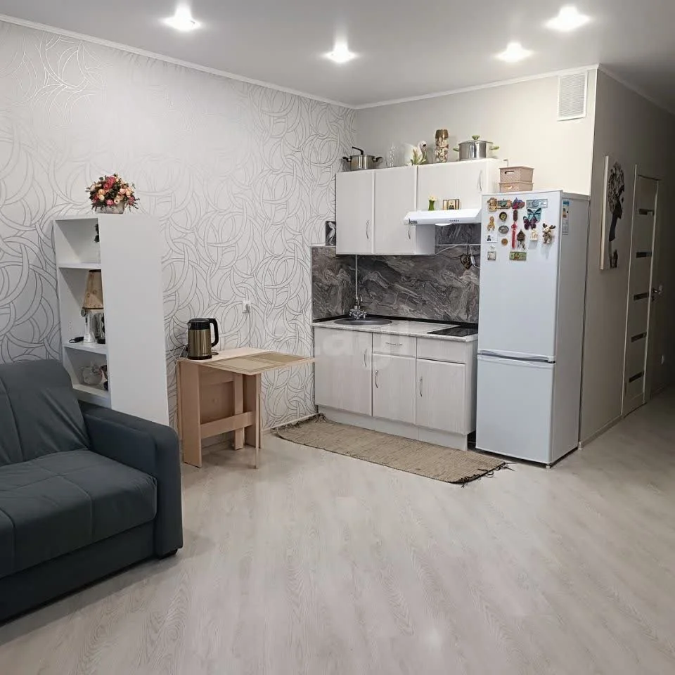 Студия, 30.2м² (улица Красных Партизан, 1/4к11) - миниатюра 3