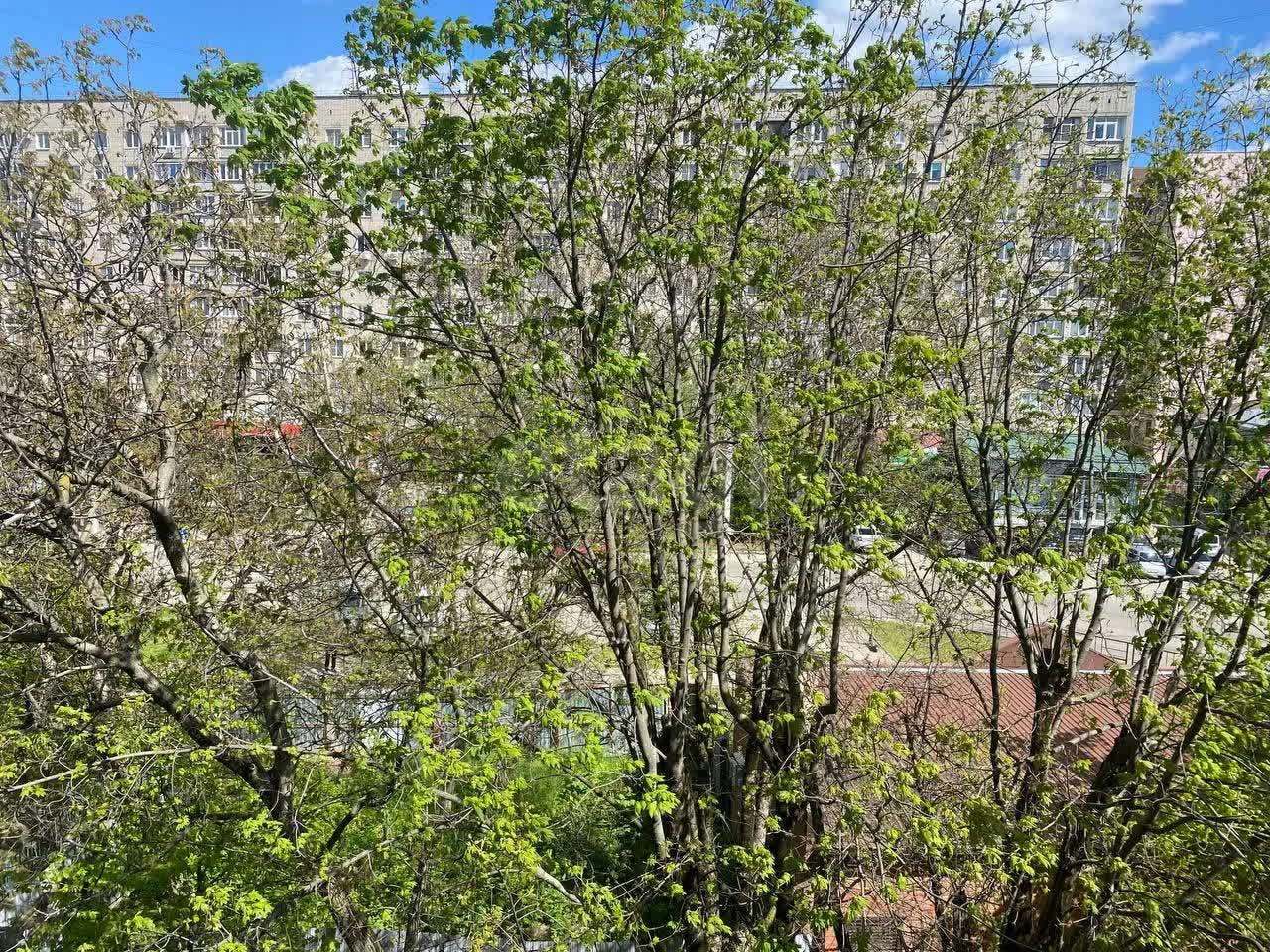 1-к квартира, 30.1м² (улица Трудовой Славы, 46) - миниатюра 6