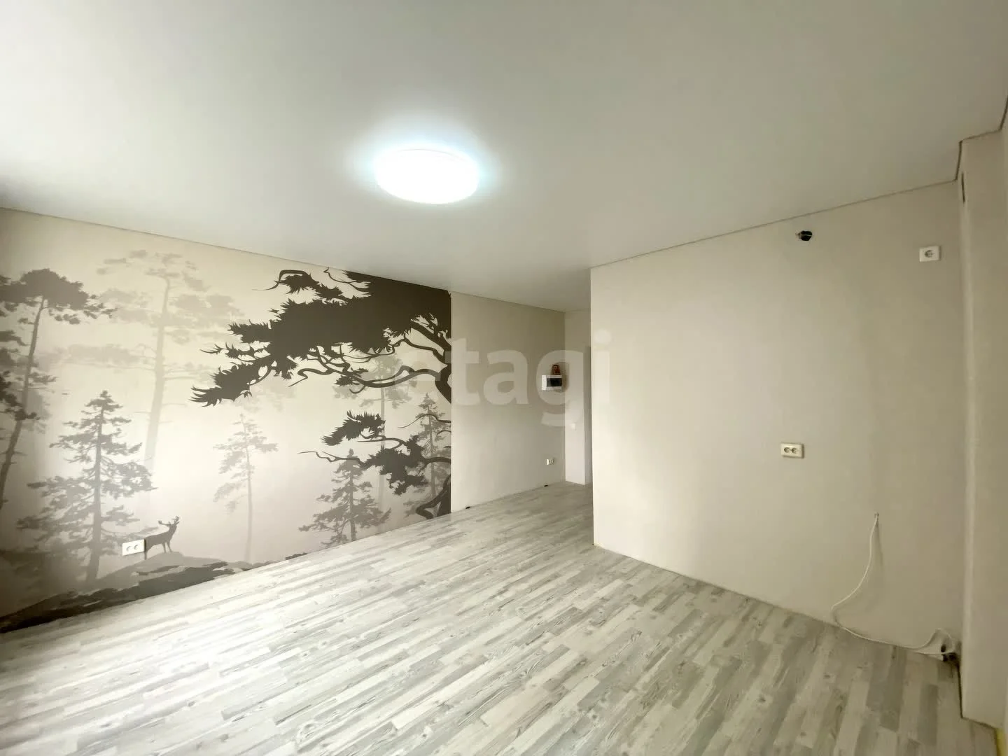 Студия, 23.6м² (Бжегокайская улица, 19к2) - миниатюра 3