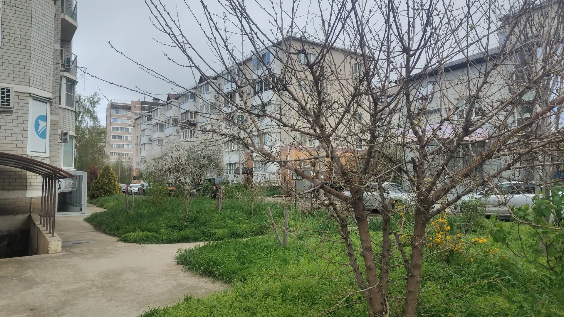 1-к квартира, 39.8м² (Восточно-Кругликовская улица, 72) - миниатюра 25