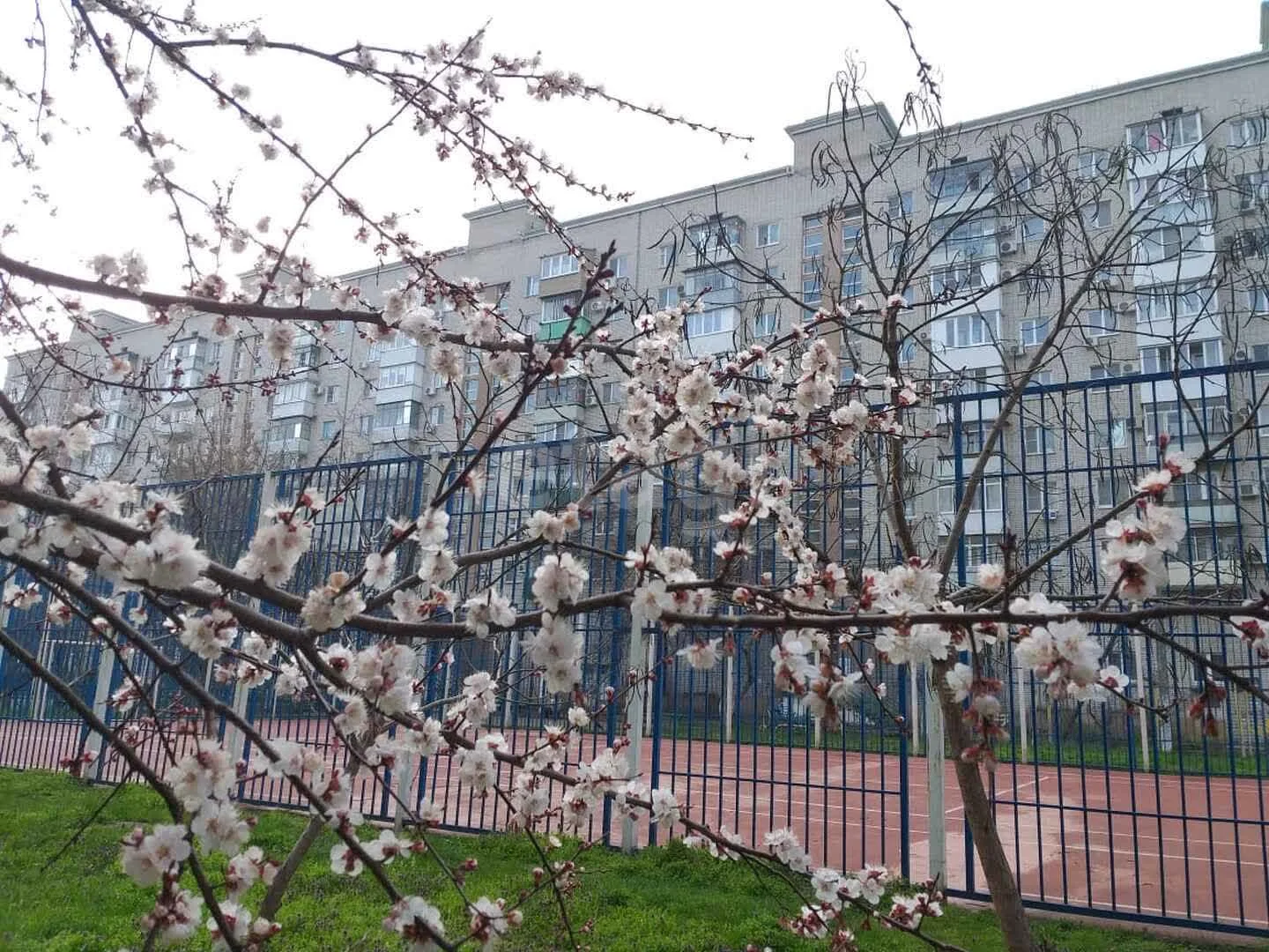 2-к квартира, 49.1м² (улица Тюляева, 8) - миниатюра 13