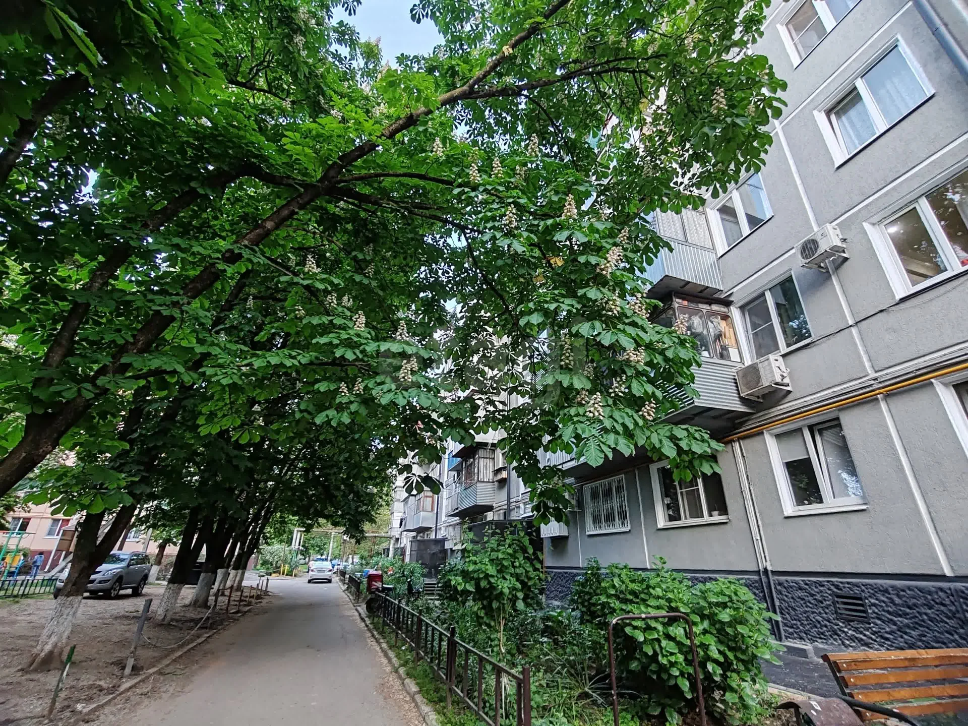 1-к квартира, 31м² (улица Игнатова, 39) - миниатюра 12