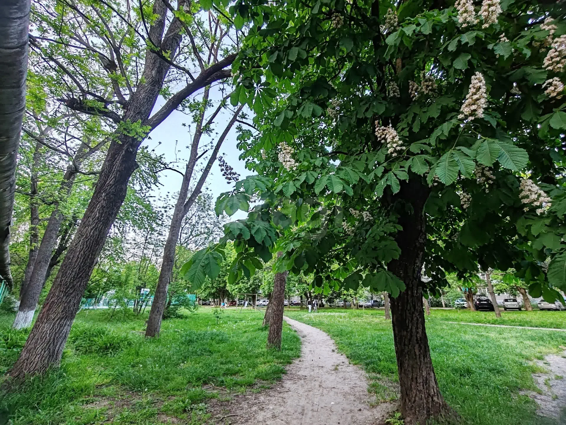 1-к квартира, 31м² (улица Игнатова, 39) - миниатюра 14