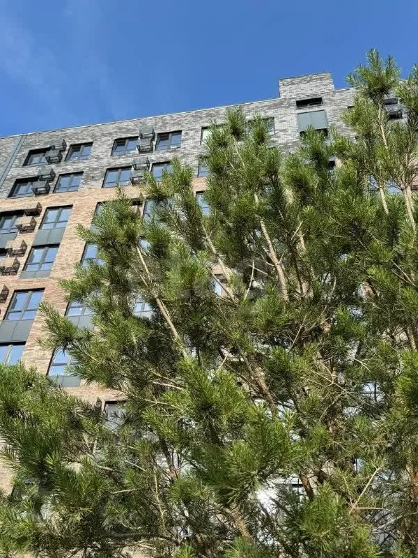1-к квартира, 33.7м² (улица имени Генерала Брусилова, 5) - миниатюра 21