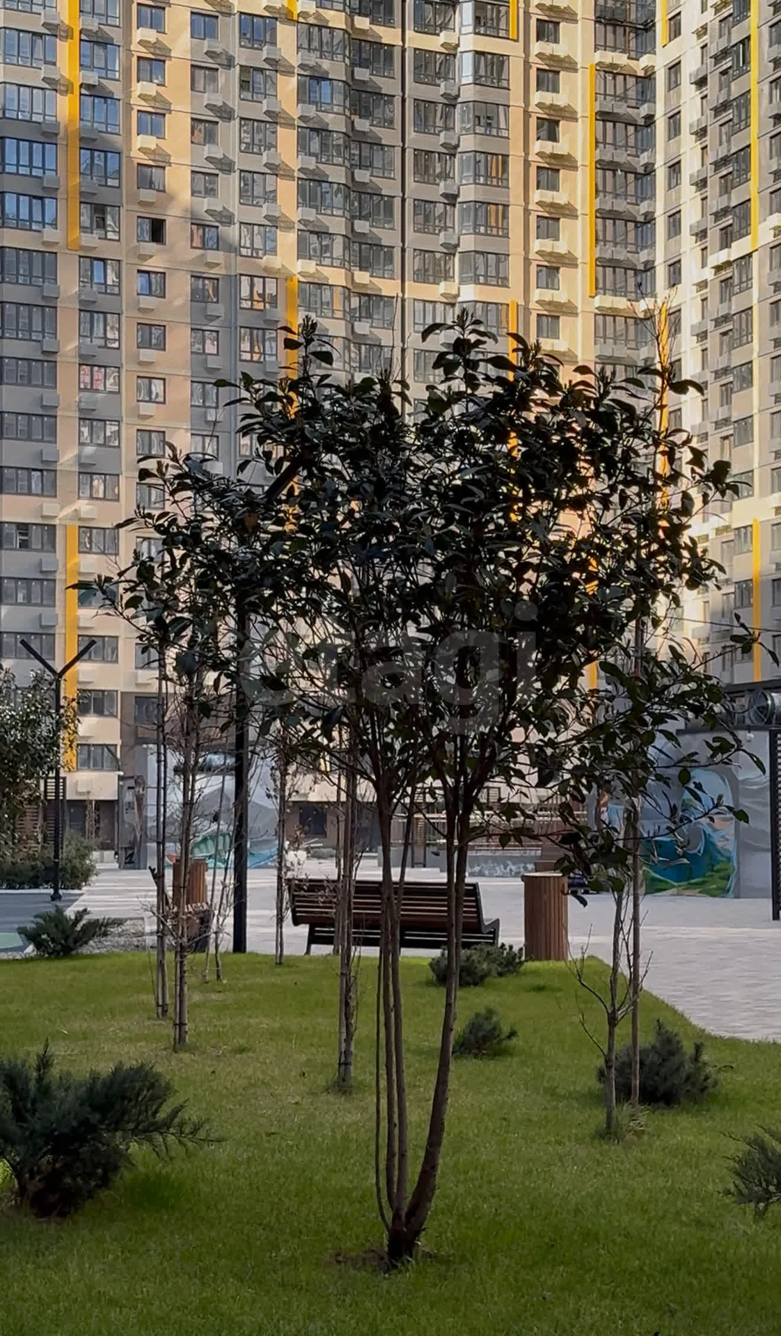 Студия, 24.4м² (Уральская улица, 87/7) - миниатюра 2