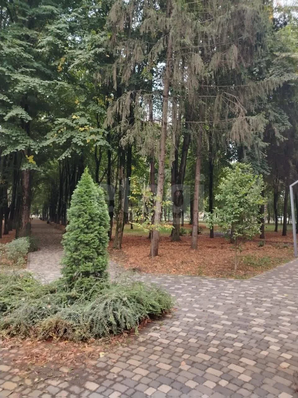 1-к квартира, 29.8м² (улица Археолога Анфимова, 26) - миниатюра 14