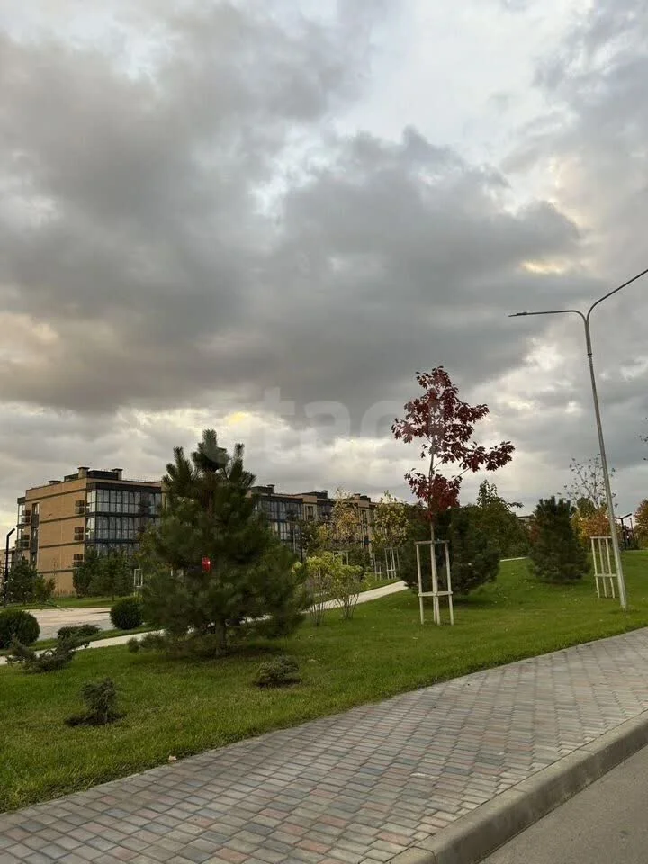 Студия, 23.2м² (улица имени Фёдора Елисеева, 9/9) - миниатюра 20