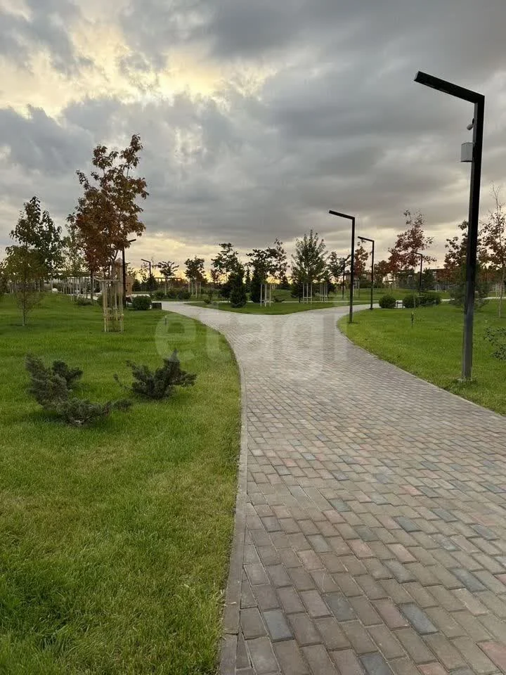 Студия, 23.2м² (улица имени Фёдора Елисеева, 9/9) - миниатюра 23