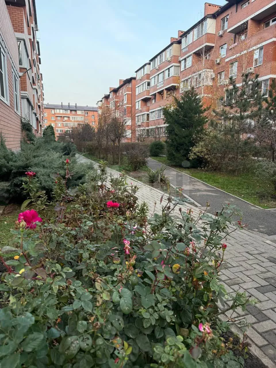 1-к квартира, 26м² (Бжегокайская улица, 31/3к4) - миниатюра 11