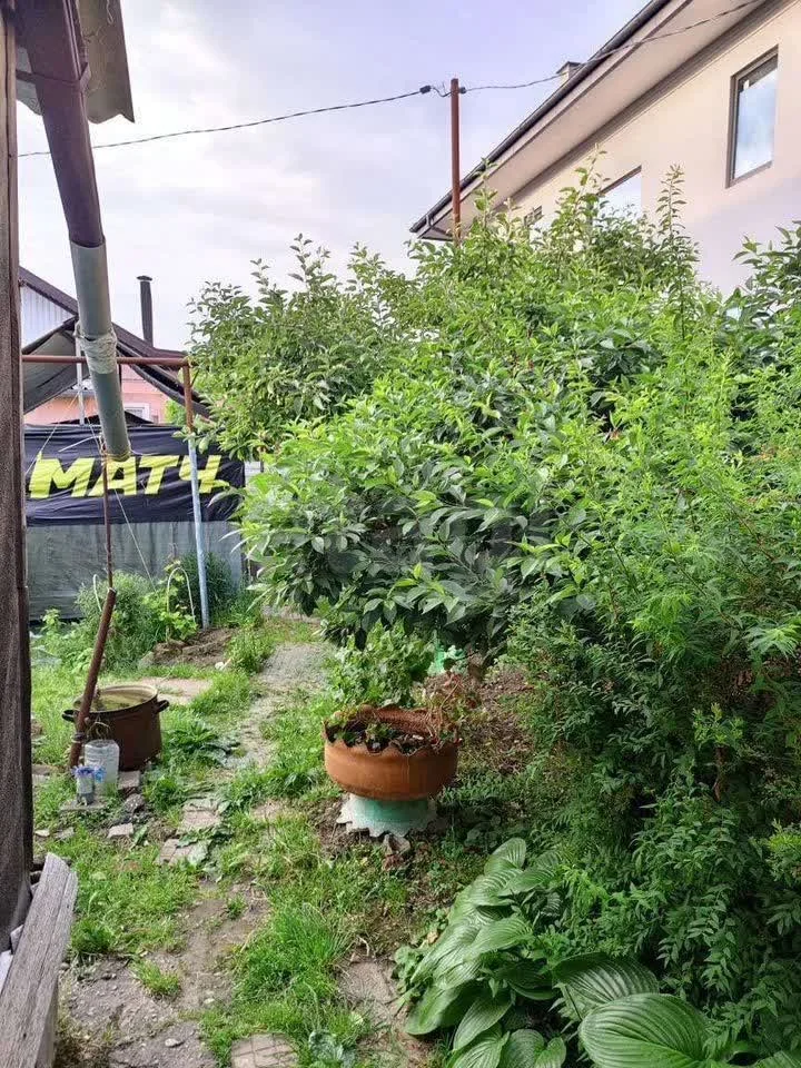 3-к квартира, 50м² (Краснодонский проезд, 42/5) - миниатюра 14