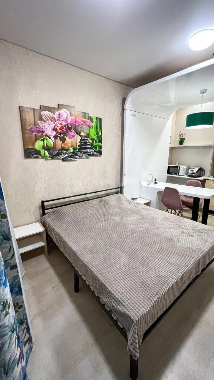 Студия, 26м² (Восточно-Кругликовская улица, 30/2) - миниатюра 4