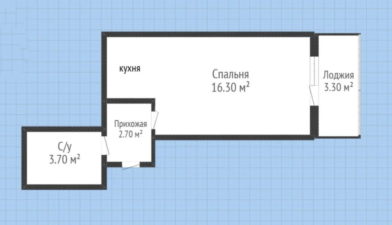 Студия, 24м² (Шоссейная улица, 70/1к5) - миниатюра 8