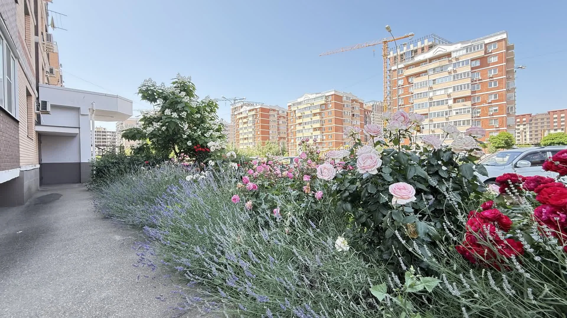 1-к квартира, 42м² (улица Героя Пешкова, 7) - миниатюра 17