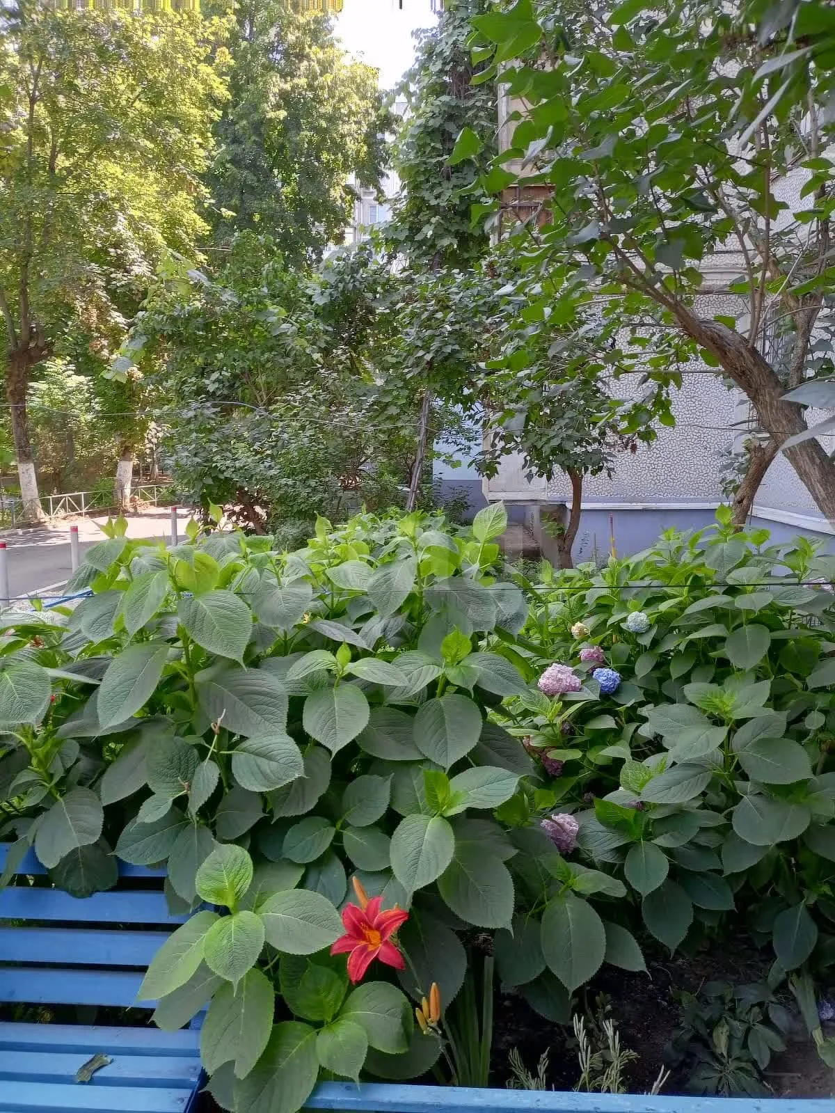 2-к квартира, 53м² (улица имени Игнатова, 67) - миниатюра 19