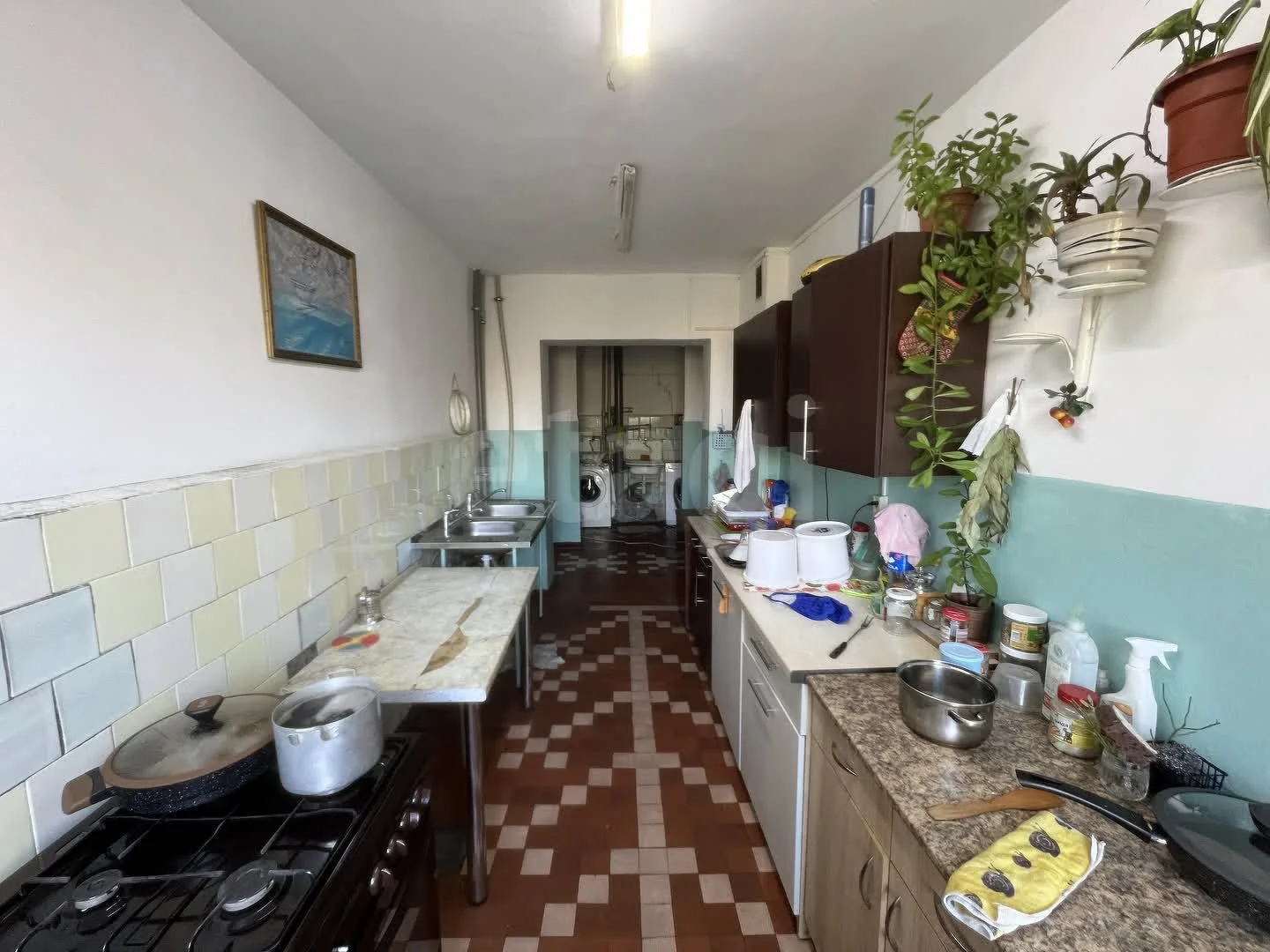 Студия, 11.6м² (Тихорецкая улица, 9а) - миниатюра 5