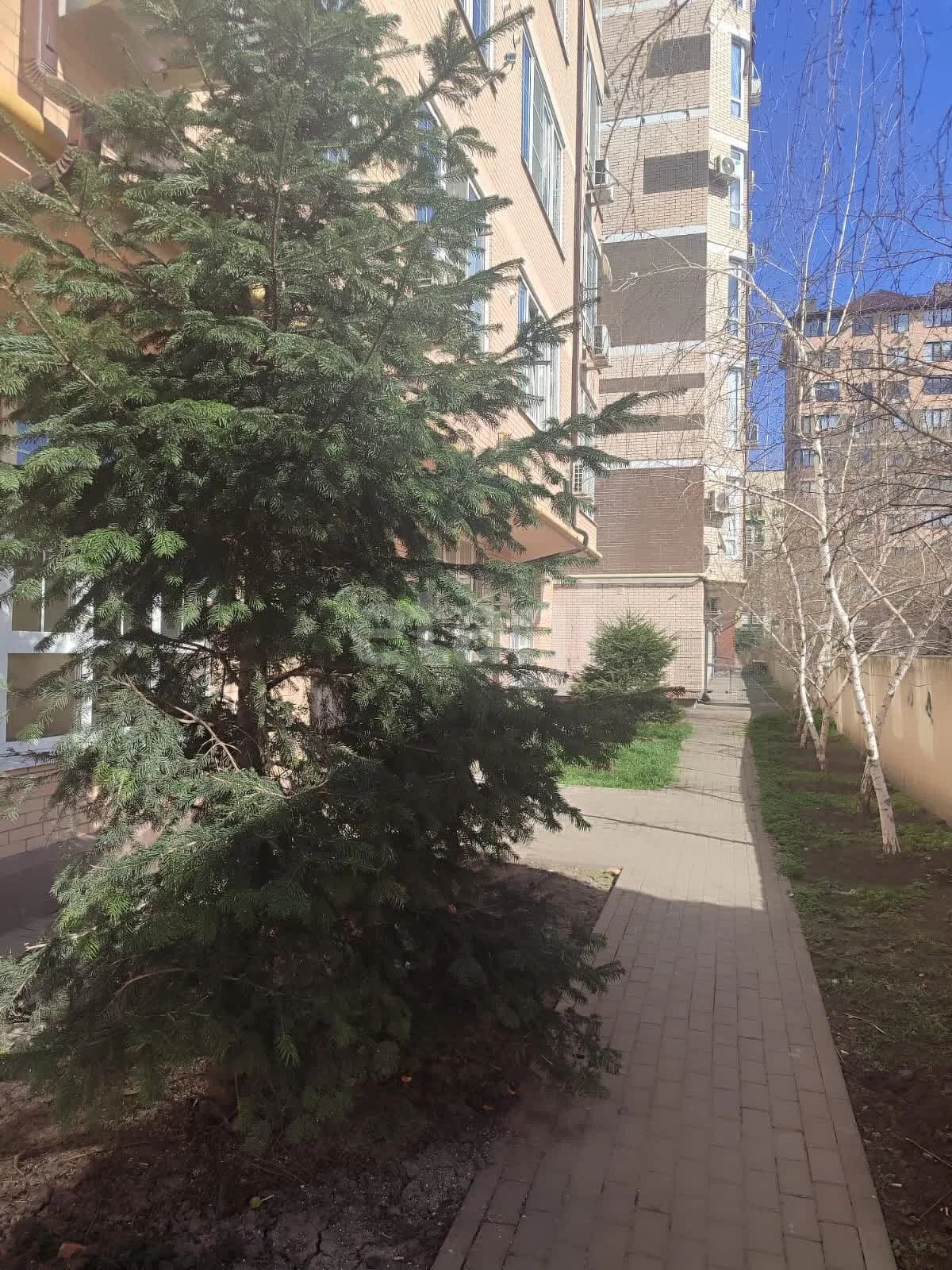 Студия, 26.4м² (Шоссейная улица, 63к1) - миниатюра 8