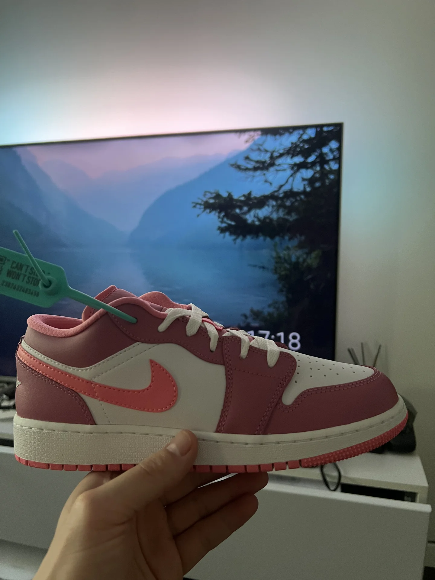 Jordan 1 Low Desert Berry - миниатюра 3