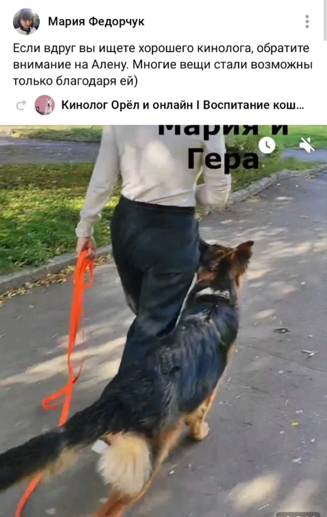 Услуги кинолога, кинолог Орел - миниатюра 7
