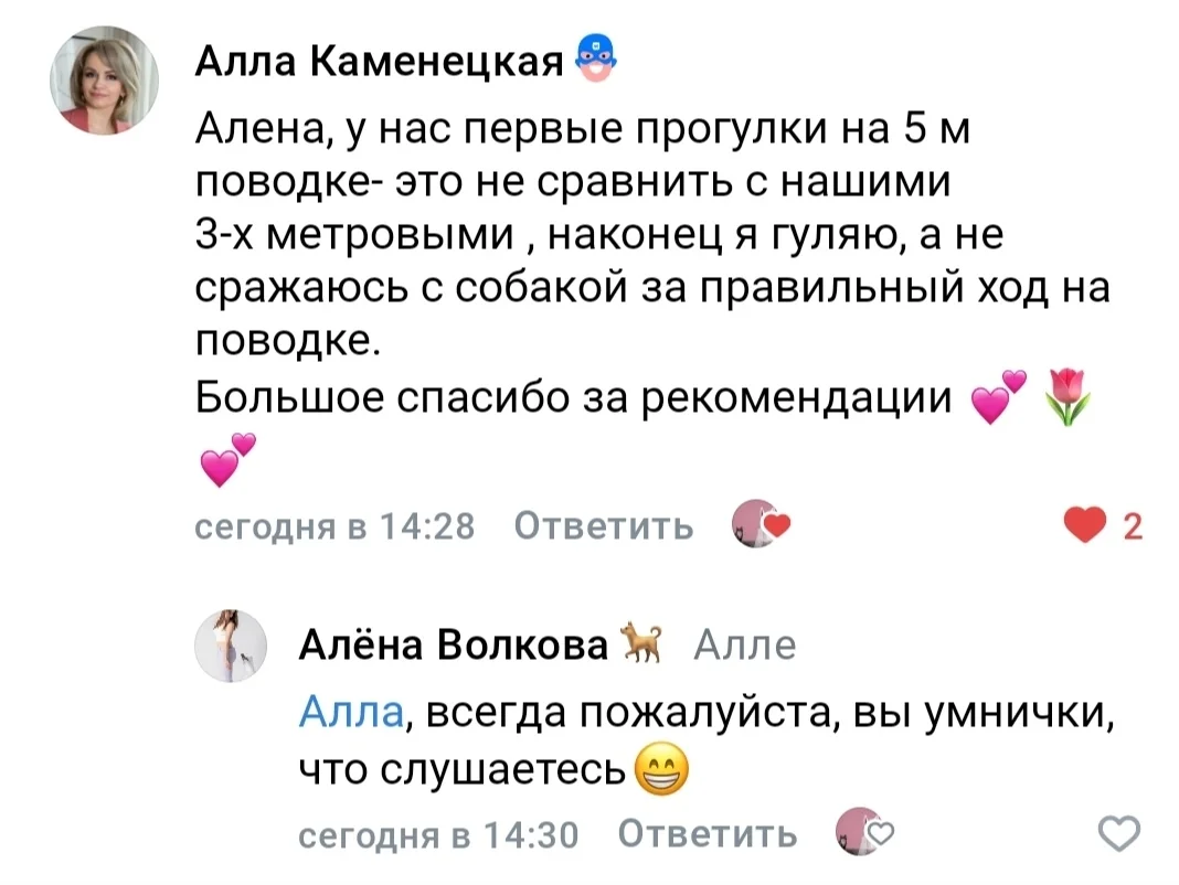 Услуги кинолога, кинолог Орел - миниатюра 13