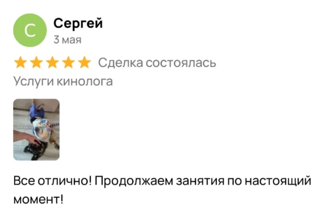 Услуги кинолога, кинолог Орел - миниатюра 15