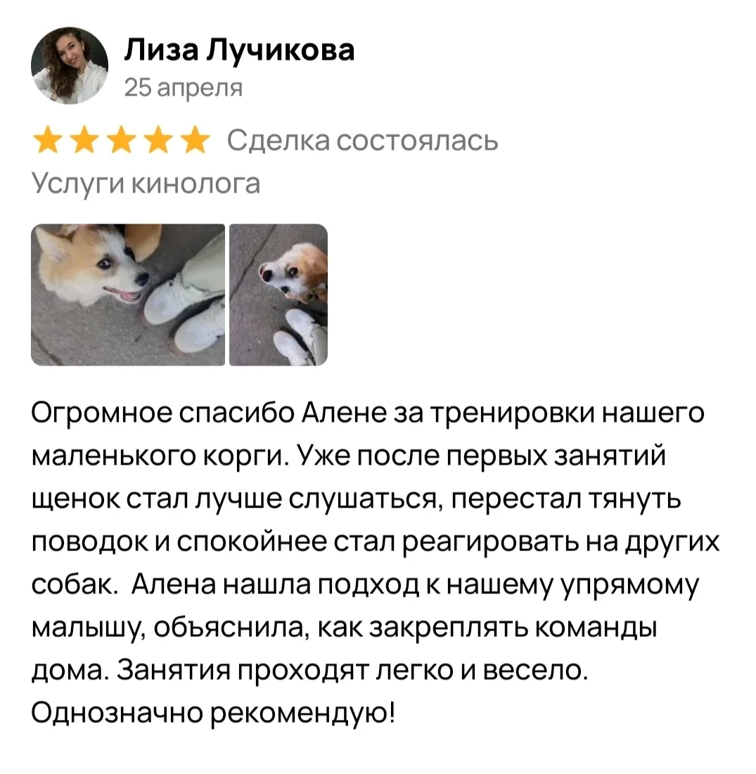 Услуги кинолога, кинолог Орел - миниатюра 17