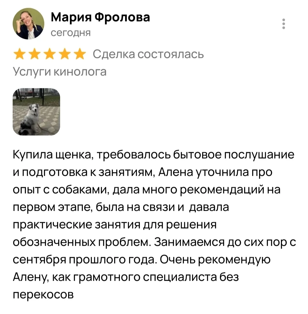 Кинолог онлайн, онлайн-занятия - миниатюра 10