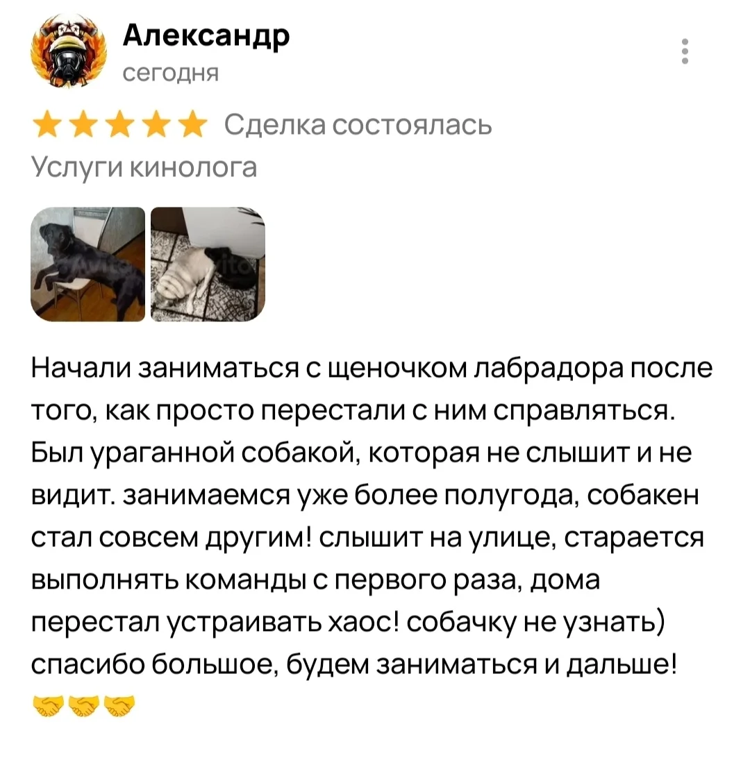 Кинолог онлайн, онлайн-занятия - миниатюра 15