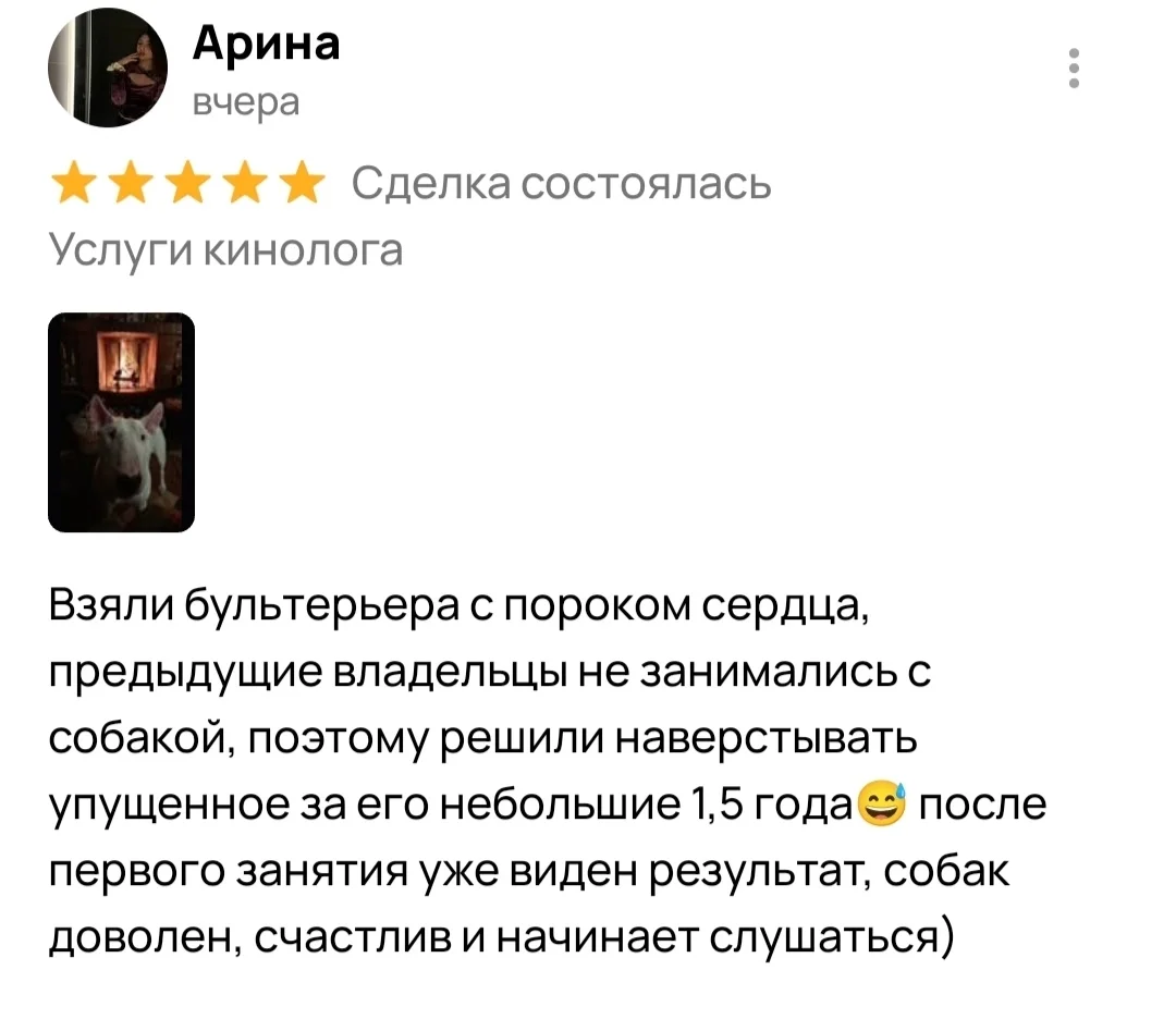 Кинолог онлайн, онлайн-занятия - миниатюра 19