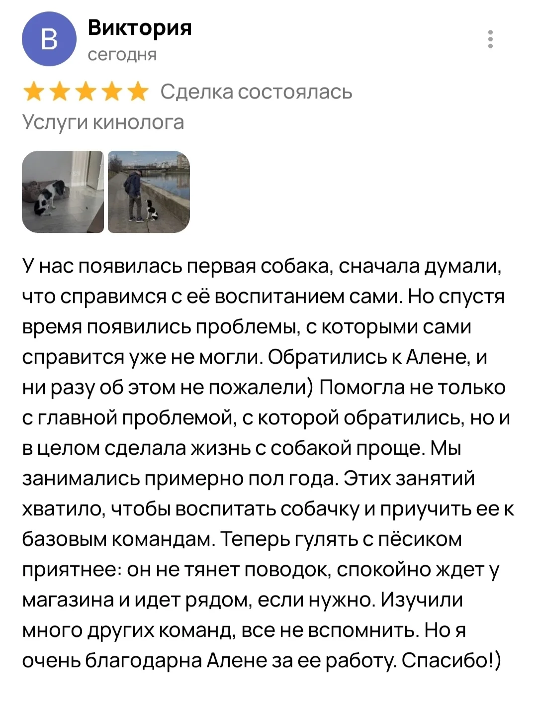 Кинолог онлайн, онлайн-занятия - миниатюра 20