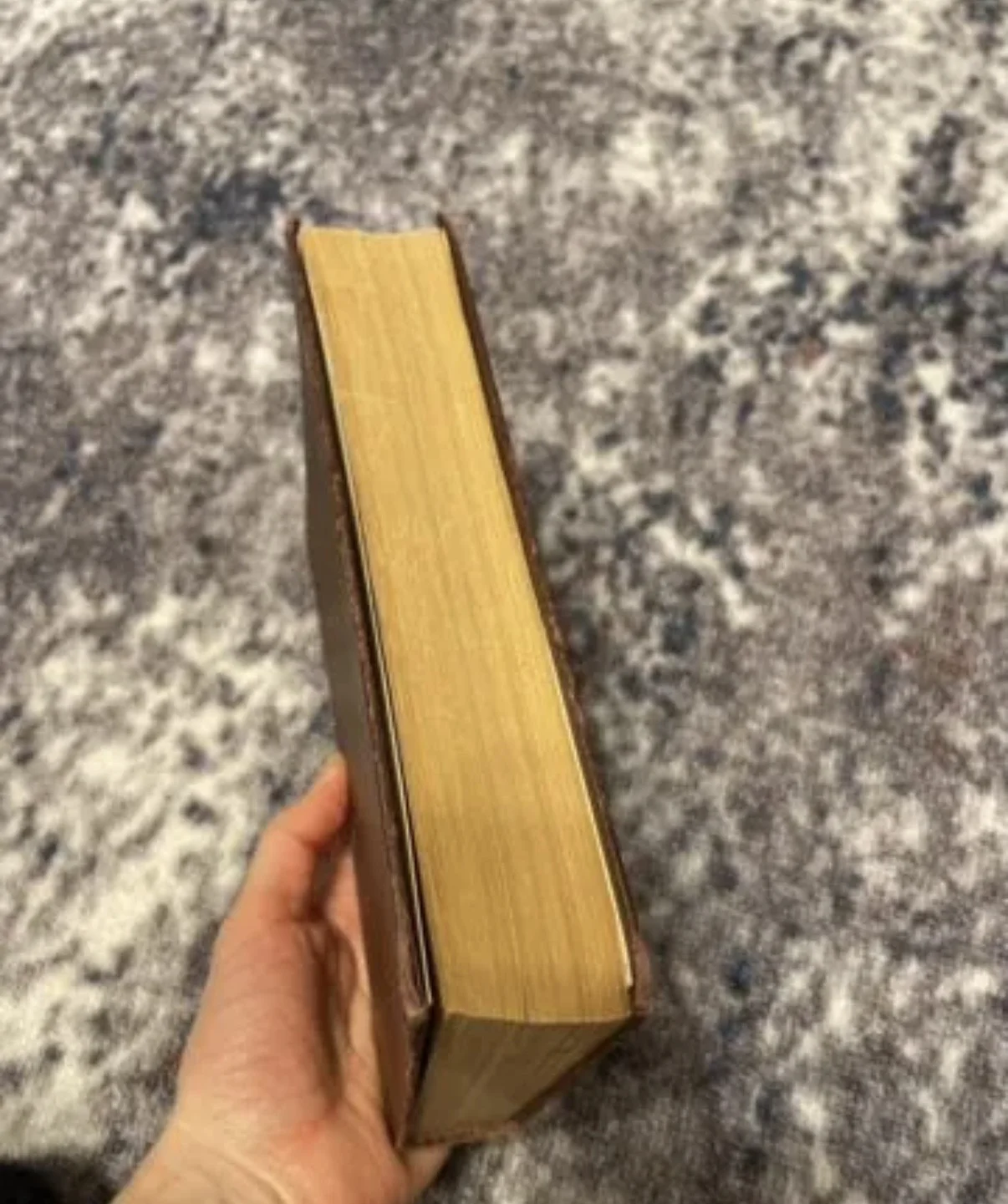 Книга Михаила Булгакова «Белая гвардия Мастер и Маргарита» - миниатюра 2