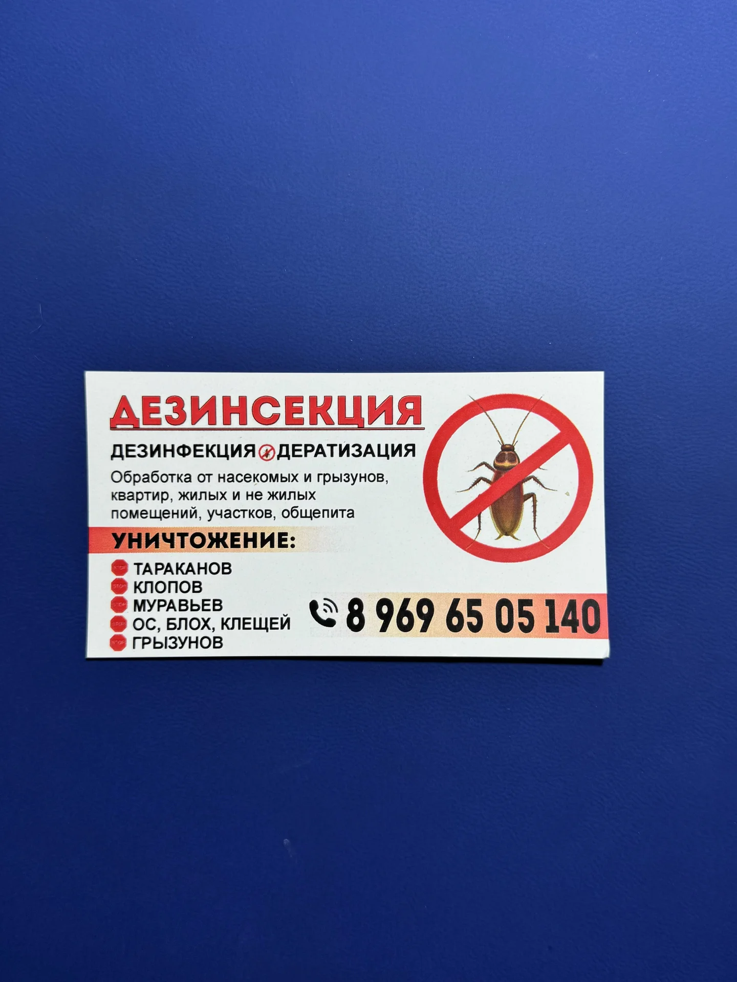 Уничтожение насекомых - миниатюра 2