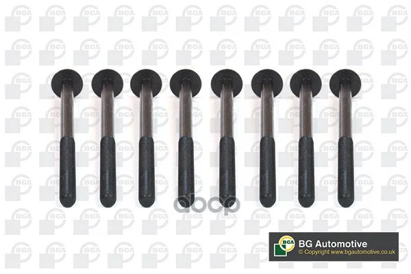 КОМ-КТ БОЛТОВ ГБЦ BMW B37 D15A/C15 BK5930 Bga - изображение 1