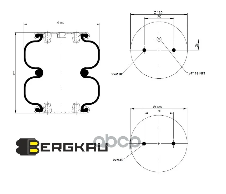 2BK0180-8M Пневморессора BERGKAU - изображение 1
