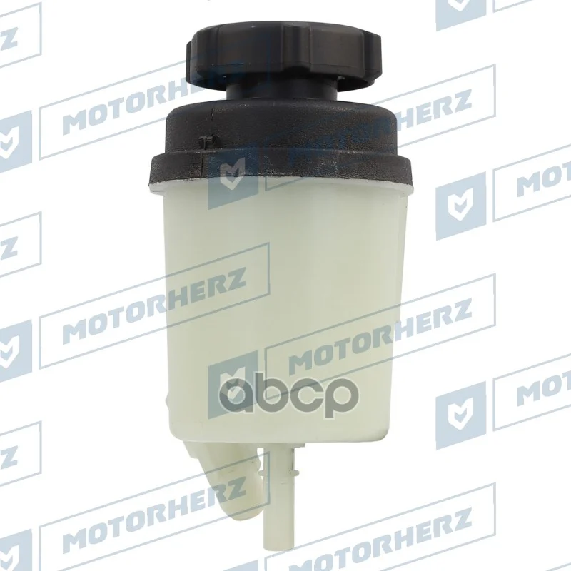 Бачок ГУРЭГУР 106AA0002AE Motorherz - миниатюра 2
