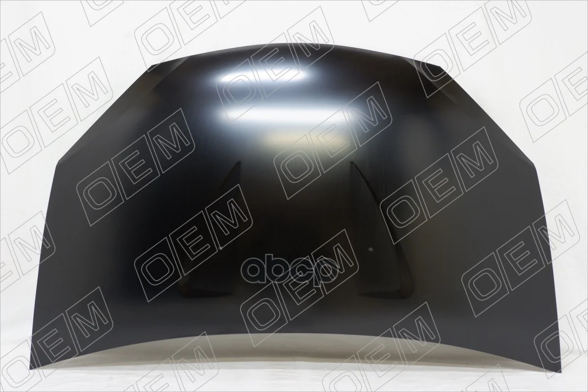 Капот Renault Sandero 1 (2009-2014) OEM0055KPT - изображение 1