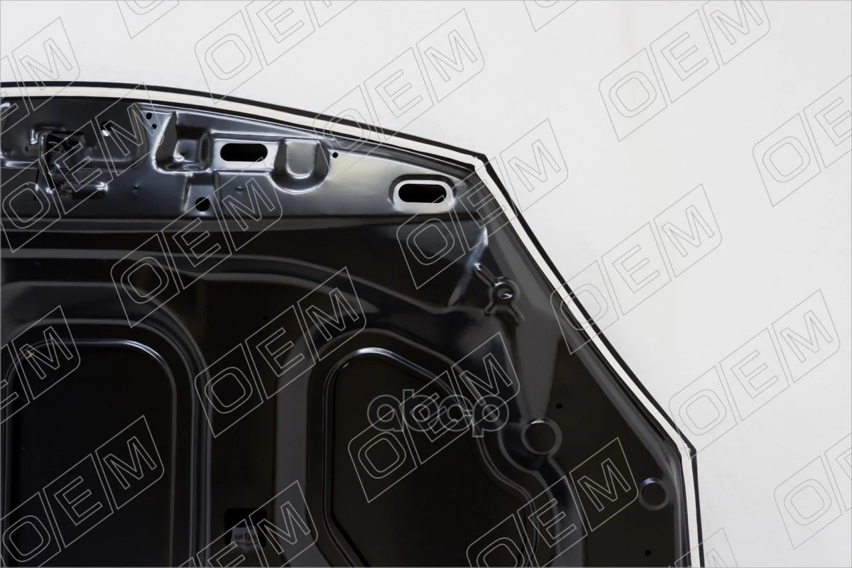 Капот Renault Sandero 1 (2009-2014) OEM0055KPT - миниатюра 4