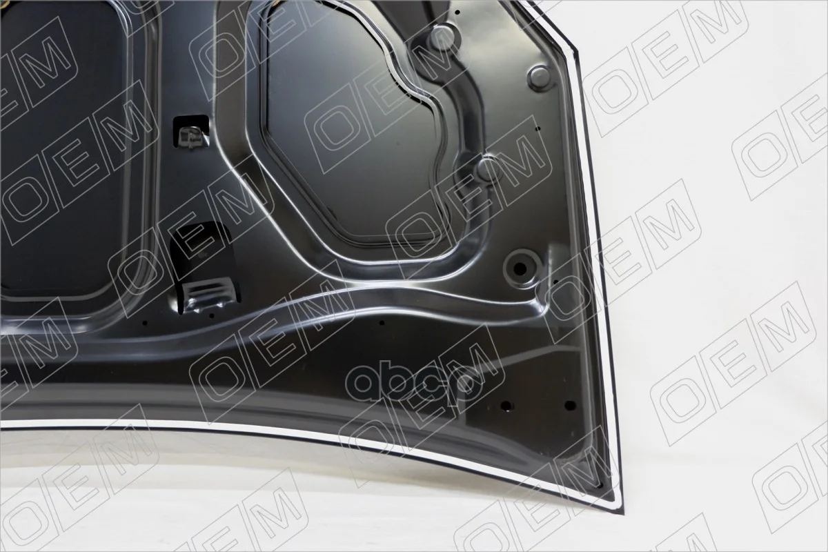 Капот Renault Sandero 1 (2009-2014) OEM0055KPT - миниатюра 5