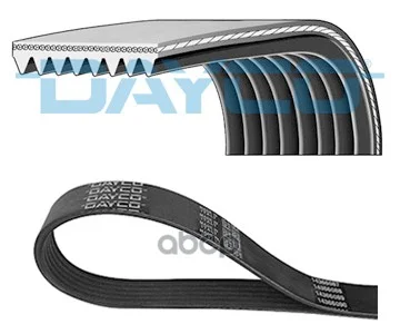 Ремень приводной поликлиновой 8PK1015HD Dayco - изображение 1