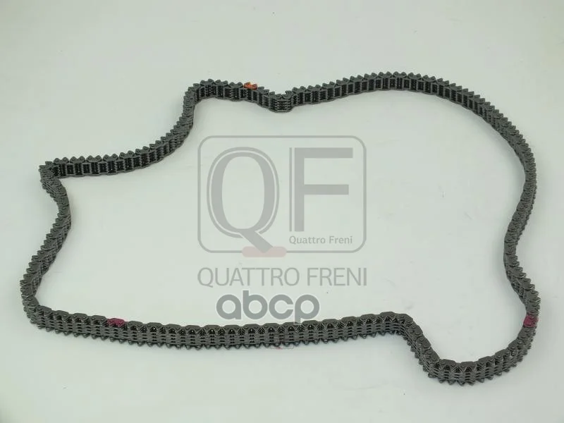 Цепь QF13A00152 QUATTRO FRENI - изображение 1