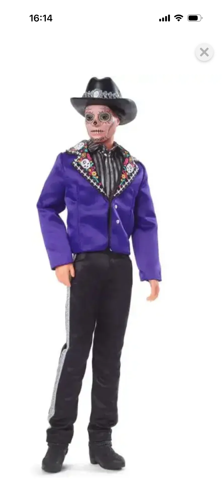 Кукла Barbie Dia De Muertos Ken HJX15 - миниатюра 2