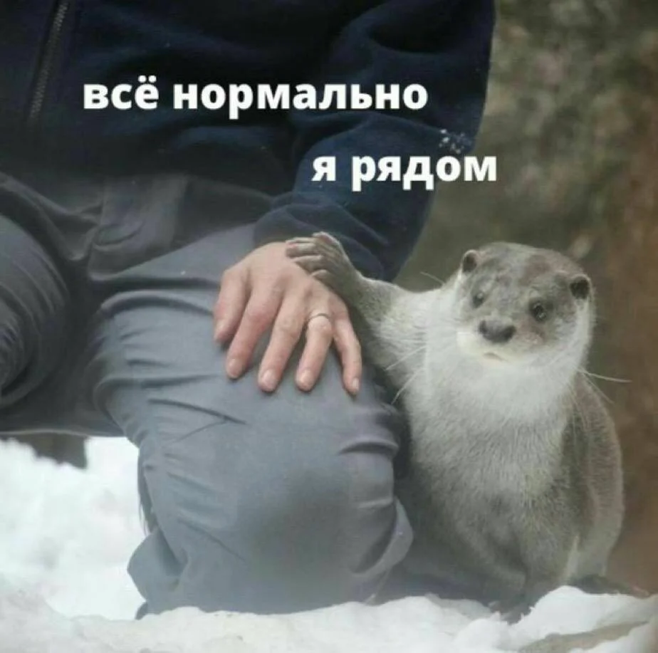 Ипотечное страхование, каска, осаго - изображение 1