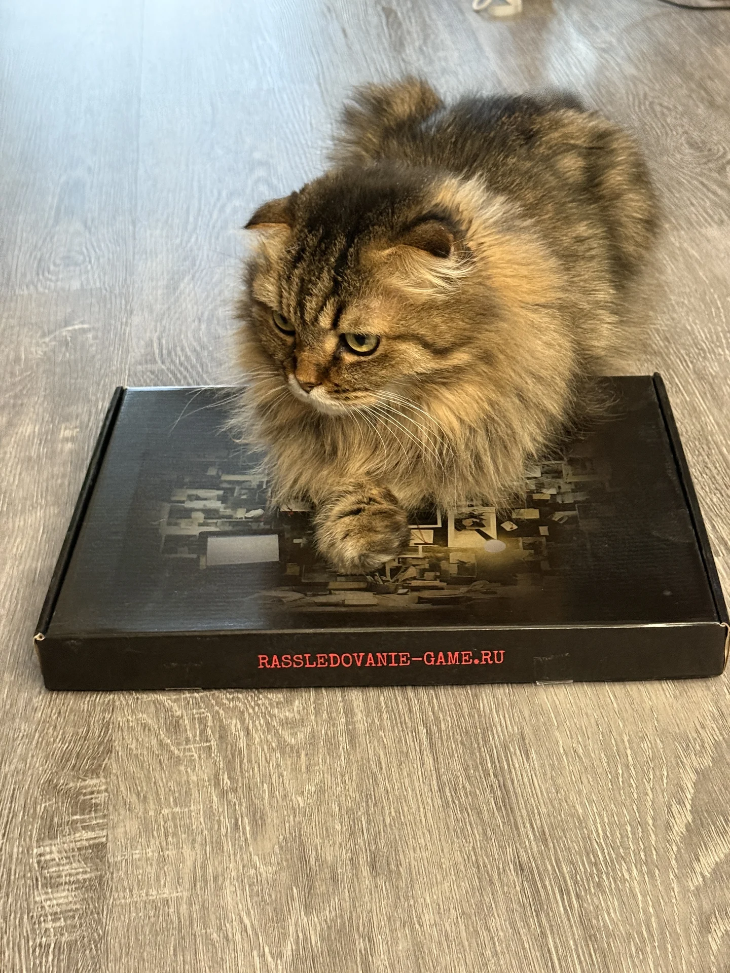 Детективная настольная игра квест - миниатюра 4