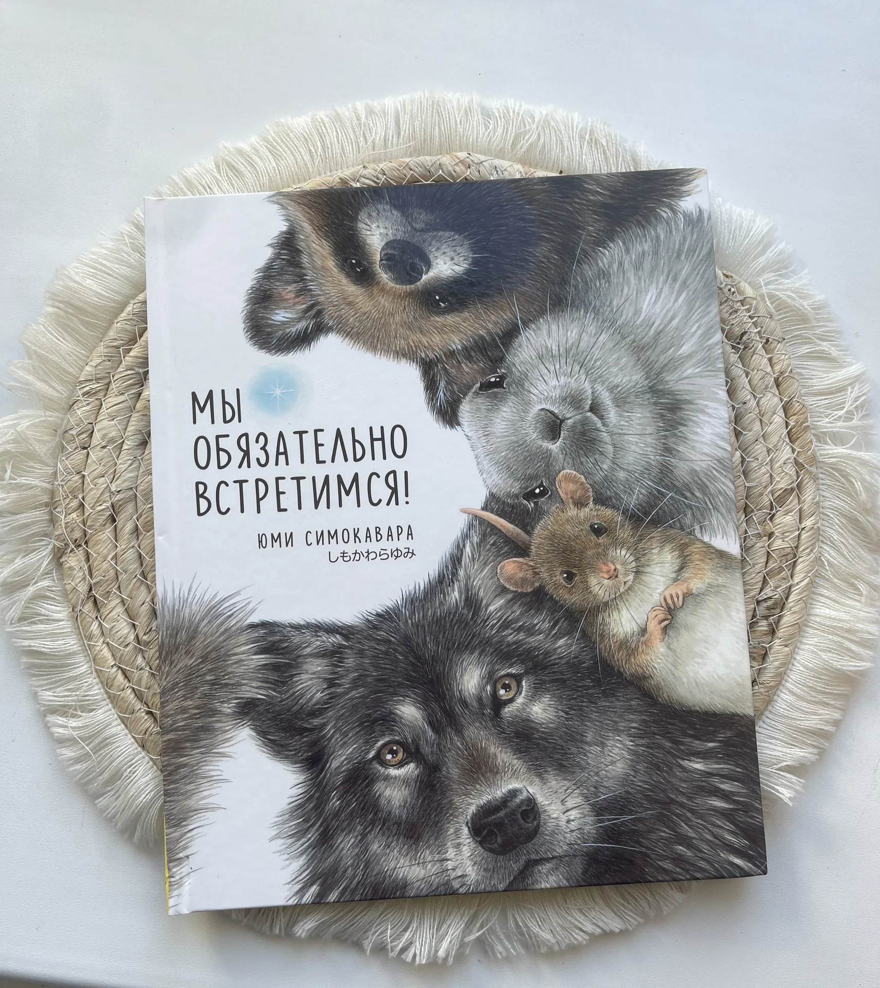 Книга «Мы обязательно встретимся»Юми Симиковара - изображение 1