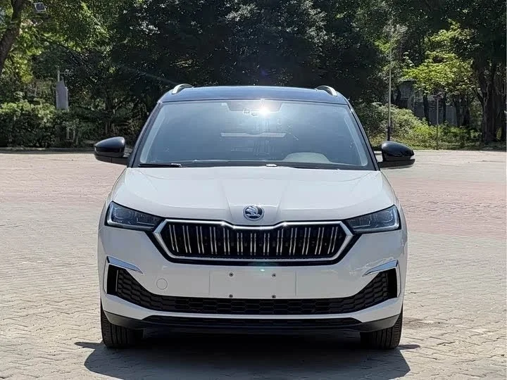 Skoda Kamiq - изображение 1