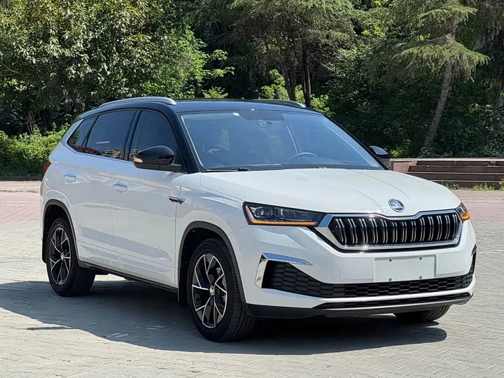Skoda Kamiq - миниатюра 3