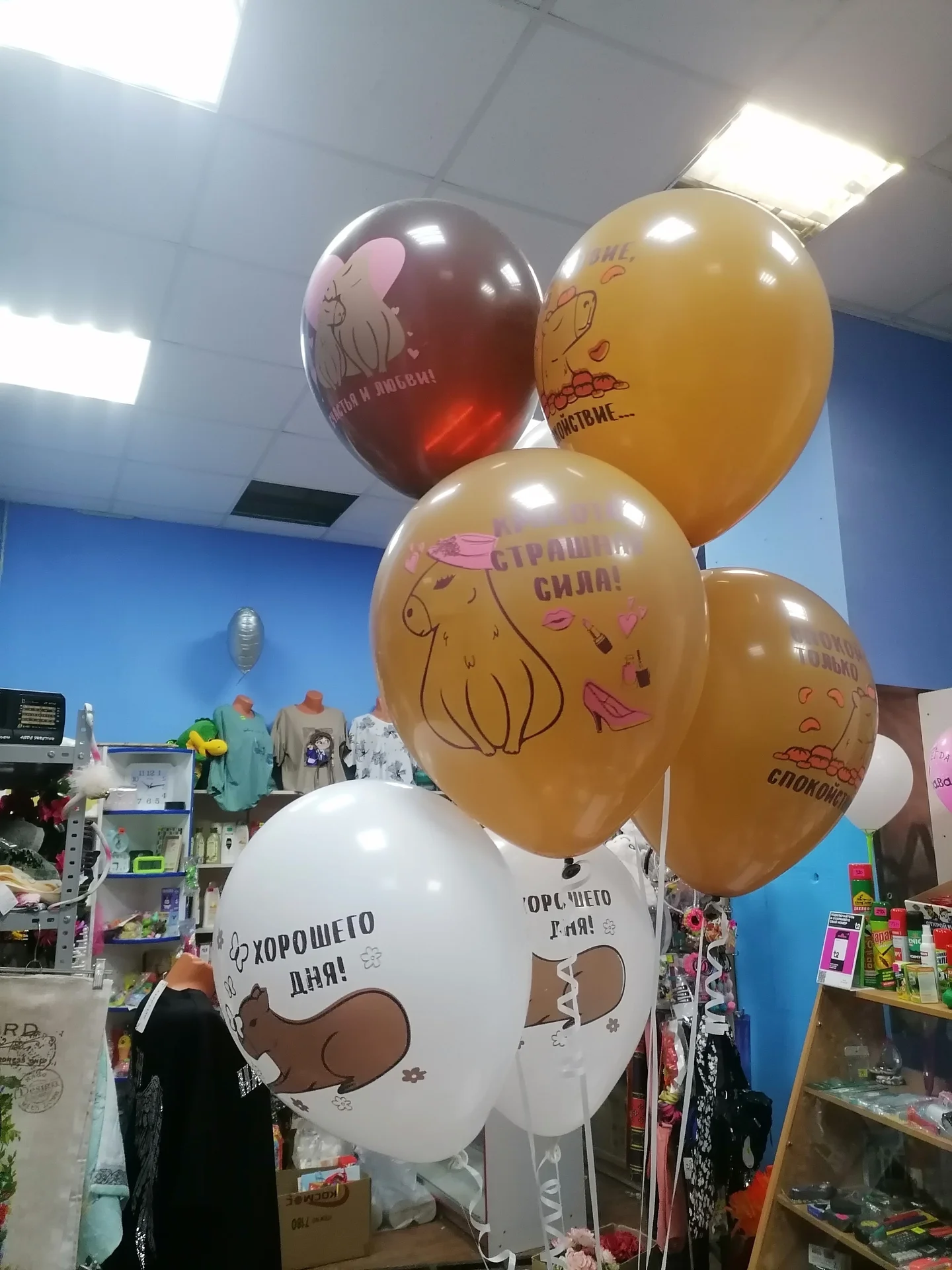 Воздушные шары. Гелевые шары - миниатюра 9