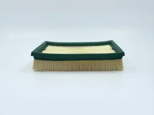 GB95000 Воздушные фильтры BIG FILTER (C24028, AP109/9) - миниатюра 2