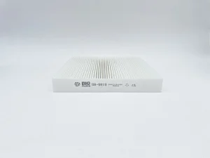 GB9919 Фильтр салонный BIG FILTER - миниатюра 2