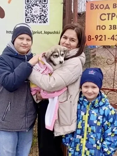 Некрупная щенок в дар - миниатюра 4