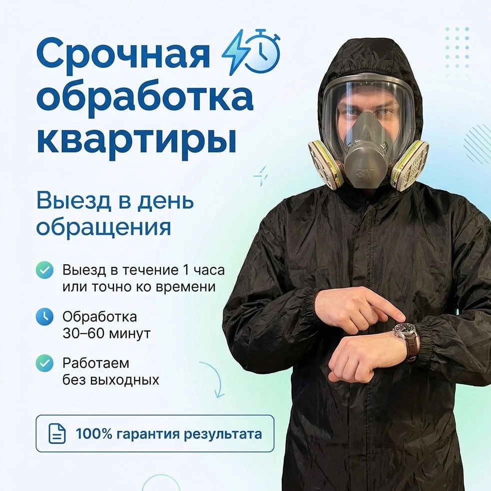 Обработка от клопов, тараканов, блох - миниатюра 4